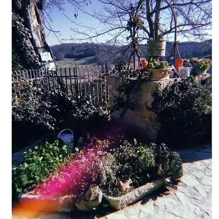 La Casina Di Ancicucco 1 * Σαν Τζιμινιάνο